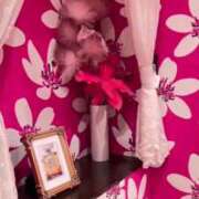 ヒメ日記 2025/04/14 18:33 投稿 もえ SOPHIA（ソフィア）