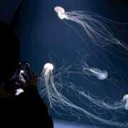 ヒメ日記 2025/05/11 22:13 投稿 もえ SOPHIA（ソフィア）