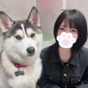 ヒメ日記 2025/05/29 19:53 投稿 もえ SOPHIA（ソフィア）