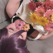 ヒメ日記 2025/11/12 16:35 投稿 もえ SOPHIA（ソフィア）