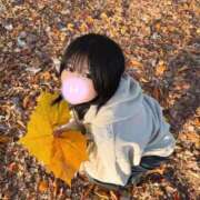 ヒメ日記 2025/11/17 12:23 投稿 もえ SOPHIA（ソフィア）