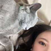 ヒメ日記 2025/02/10 19:03 投稿 さゆり 綺麗なお姉様専門　町田リング4C（アンジェリークグループ）