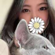 ヒメ日記 2025/02/23 01:13 投稿 さゆり 綺麗なお姉様専門　町田リング4C（アンジェリークグループ）