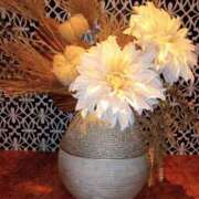 ヒメ日記 2025/01/25 04:26 投稿 まりも 熟女の風俗最終章 蒲田店