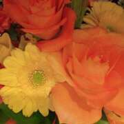 ヒメ日記 2025/01/29 01:00 投稿 まりも 熟女の風俗最終章 蒲田店