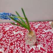 ヒメ日記 2025/02/02 06:26 投稿 まりも 熟女の風俗最終章 蒲田店