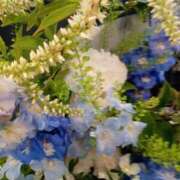 ヒメ日記 2025/06/05 10:01 投稿 まりも 熟女の風俗最終章 蒲田店