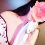 ヒメ日記 2025/06/08 07:09 投稿 あけの おいらん遊郭