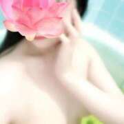 ヒメ日記 2026/04/20 08:51 投稿 あけの おいらん遊郭