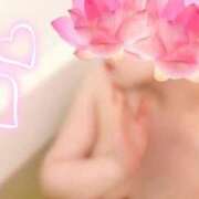 ヒメ日記 2026/07/26 08:23 投稿 あけの おいらん遊郭