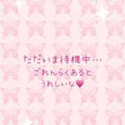 ヒメ日記 2025/01/26 11:53 投稿 るか 藤沢人妻城