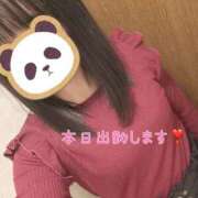 ヒメ日記 2025/02/08 08:12 投稿 るか 藤沢人妻城