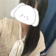 ヒメ日記 2025/11/16 02:34 投稿 るか 藤沢人妻城