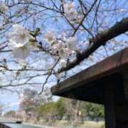 ヒメ日記 2025/04/04 18:02 投稿 なの パリス雄琴店