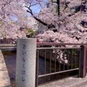 ヒメ日記 2025/04/07 12:52 投稿 なの パリス雄琴店