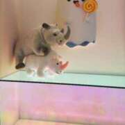 ヒメ日記 2025/09/05 09:15 投稿 深田 モアグループ大宮人妻花壇