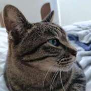 ヒメ日記 2025/04/03 18:30 投稿 石橋まこ 恋する奥さん 西中島店