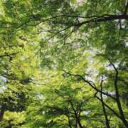 ヒメ日記 2025/06/02 20:16 投稿 石橋まこ 恋する奥さん 西中島店