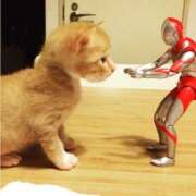 ヒメ日記 2025/03/19 22:05 投稿 まゆか 脱がされたい人妻 宇都宮店