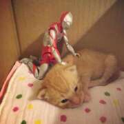 ヒメ日記 2025/03/22 20:43 投稿 まゆか 脱がされたい人妻 宇都宮店