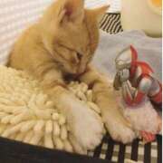 ヒメ日記 2025/04/05 18:35 投稿 まゆか 脱がされたい人妻 宇都宮店