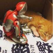 ヒメ日記 2025/04/06 19:56 投稿 まゆか 脱がされたい人妻 宇都宮店