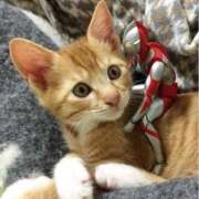 ヒメ日記 2025/04/10 09:31 投稿 まゆか 脱がされたい人妻 宇都宮店