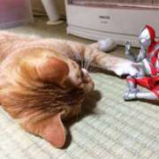 まゆか ありがとう♡ 脱がされたい人妻 宇都宮店