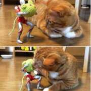 まゆか おひさしぶりです♡ʾʾ 脱がされたい人妻 宇都宮店