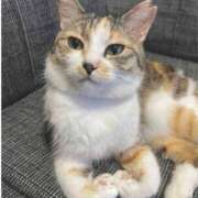 まゆか 出勤しました♡ 脱がされたい人妻 宇都宮店