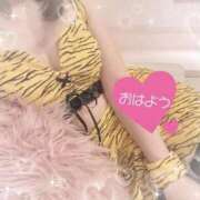 ヒメ日記 2025/10/29 10:49 投稿 桃乃木　のん☆3 TiAmo（ティアモ）