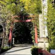 ヒメ日記 2025/11/11 13:30 投稿 おみこ 人妻㊙︎倶楽部