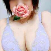 ヒメ日記 2026/03/16 09:50 投稿 おみこ 人妻㊙︎倶楽部