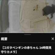 ヒメ日記 2026/06/08 16:20 投稿 おみこ 人妻㊙︎倶楽部