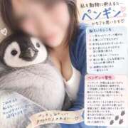 ヒメ日記 2026/09/20 19:40 投稿 おみこ 人妻㊙︎倶楽部