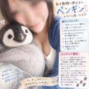 ヒメ日記 2026/09/27 09:50 投稿 おみこ 人妻㊙︎倶楽部