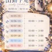 ヒメ日記 2026/10/01 12:20 投稿 おみこ 人妻㊙︎倶楽部
