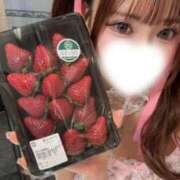 ヒメ日記 2026/02/08 15:15 投稿 さな 紳士の嗜み 大宮