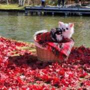 ヒメ日記 2025/11/17 21:35 投稿 安住佳奈 (あずみかな) Montrachet(モンラッシェ)