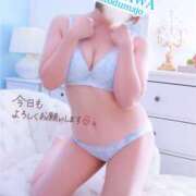 ヒメ日記 2025/03/15 15:26 投稿 なつき 藤沢人妻城