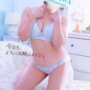 ヒメ日記 2025/07/18 14:06 投稿 なつき 藤沢人妻城