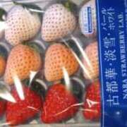 ヒメ日記 2025/03/15 13:49 投稿 さおり VIVIDCREWマダムセカンドバージン 梅田店