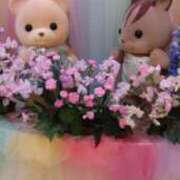 ヒメ日記 2025/03/16 16:37 投稿 さおり VIVIDCREWマダムセカンドバージン 梅田店