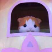 ヒメ日記 2025/03/18 23:05 投稿 さおり VIVIDCREWマダムセカンドバージン 梅田店