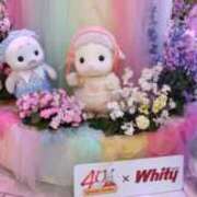 ヒメ日記 2025/04/01 22:55 投稿 さおり VIVIDCREWマダムセカンドバージン 梅田店