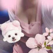 ヒメ日記 2025/04/10 11:33 投稿 さおり VIVIDCREWマダムセカンドバージン 梅田店