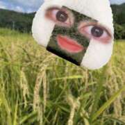 ヒメ日記 2025/04/27 13:03 投稿 さおり VIVIDCREWマダムセカンドバージン 梅田店