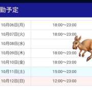 ヒメ日記 2025/10/07 12:09 投稿 さおり VIVIDCREWマダムセカンドバージン 梅田店