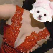 ヒメ日記 2025/10/16 19:42 投稿 さおり VIVIDCREWマダムセカンドバージン 梅田店