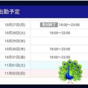 ヒメ日記 2025/10/28 06:20 投稿 さおり VIVIDCREWマダムセカンドバージン 梅田店